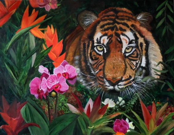 Dschungel, ab 78,- €