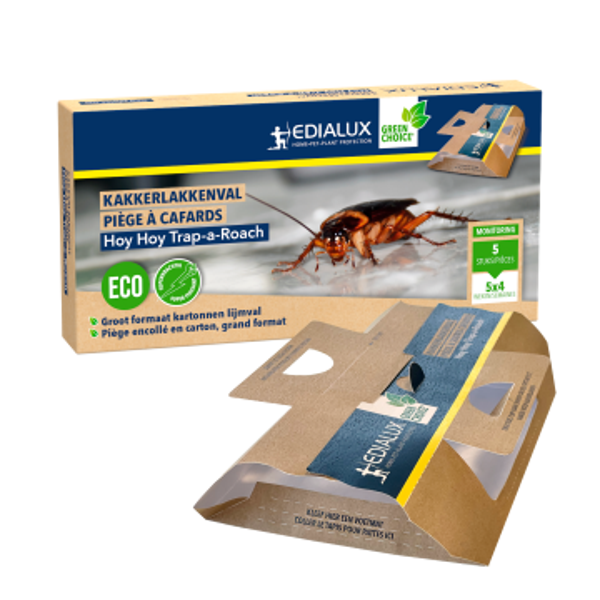 "Piège à cafards Hoy-Hoy, boite 5 pièces