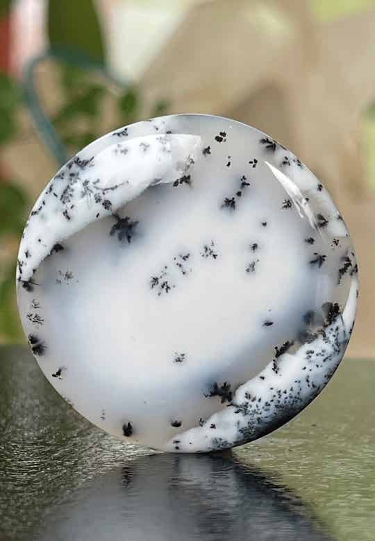 Dendriet Agaat edelsteen cabochon rond, groot