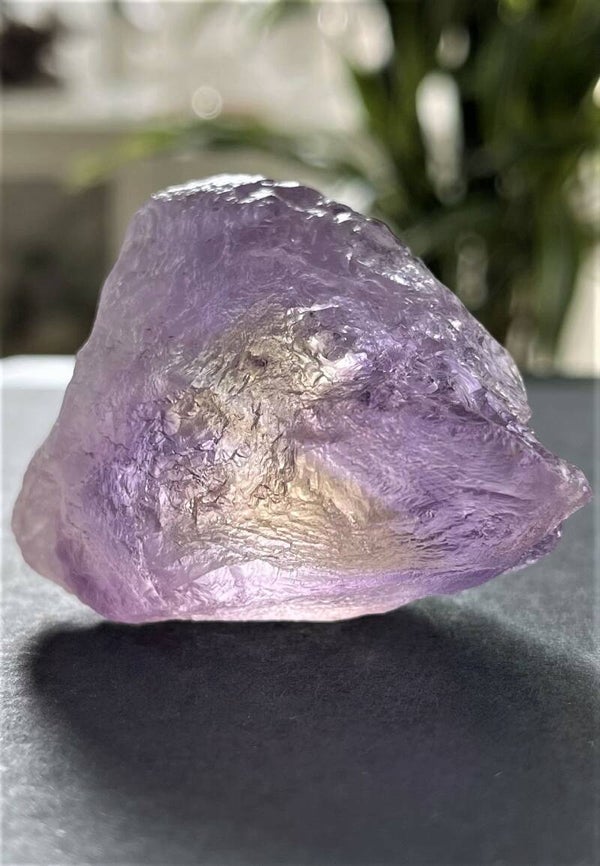 Ametrien ruw, medium