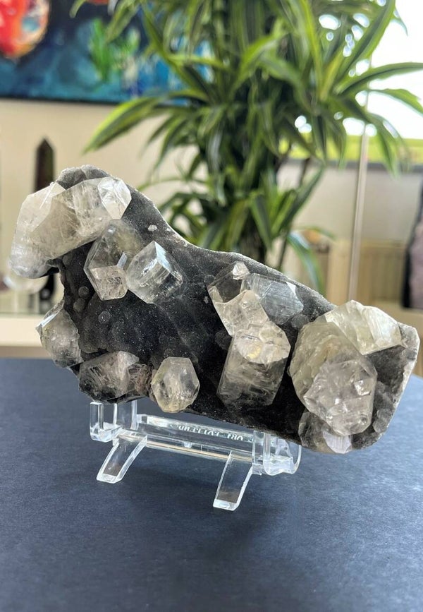 Apofylliet uit India ruw, medium