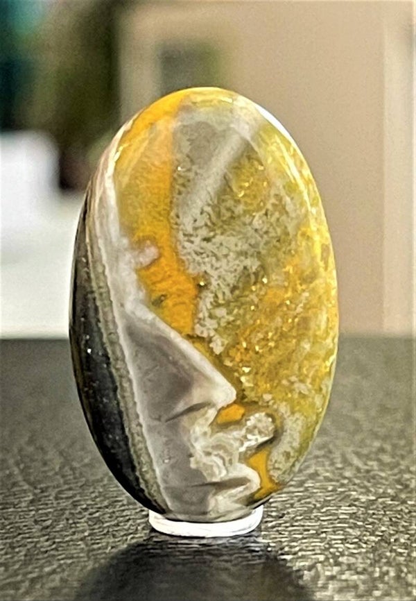 Bumble Bee Jaspis edelsteen cabochon ovaal, medium