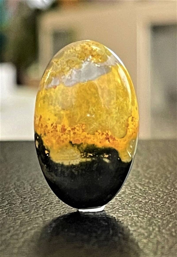 Bumble Bee Jaspis edelsteen cabochon ovaal, medium