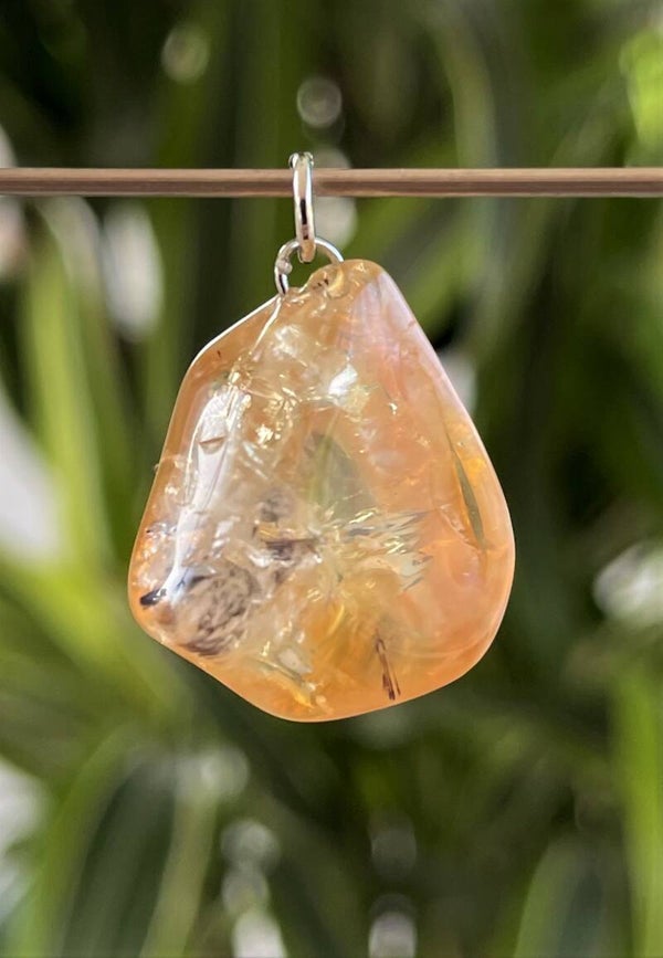 Cacoxeniet hangertje, met veter