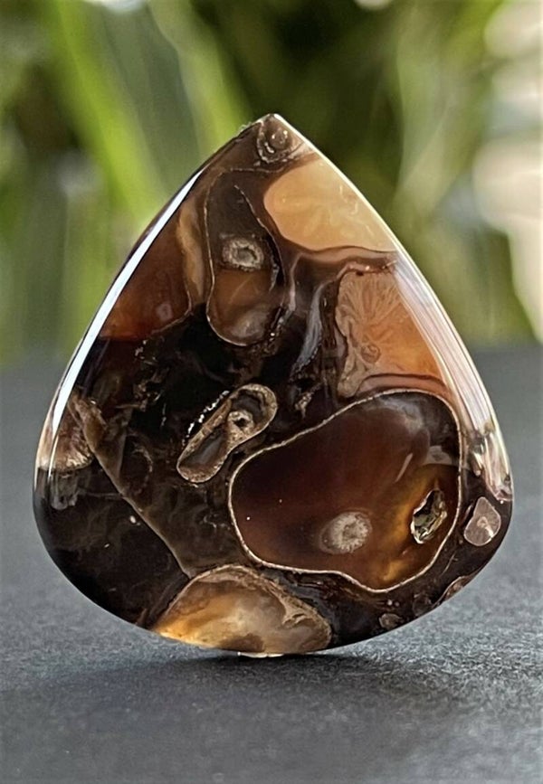 Fossiel Jaspis edelsteen cabochon druppel, medium