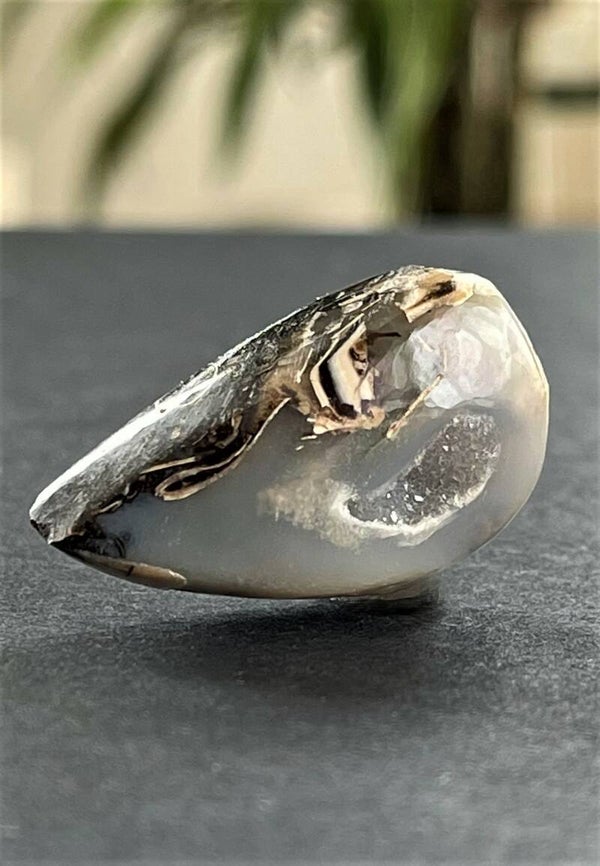Fossiel cabochon deel open, medium