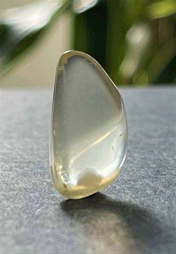 Gouden Labradoriet of Bytowniet trommelsteen