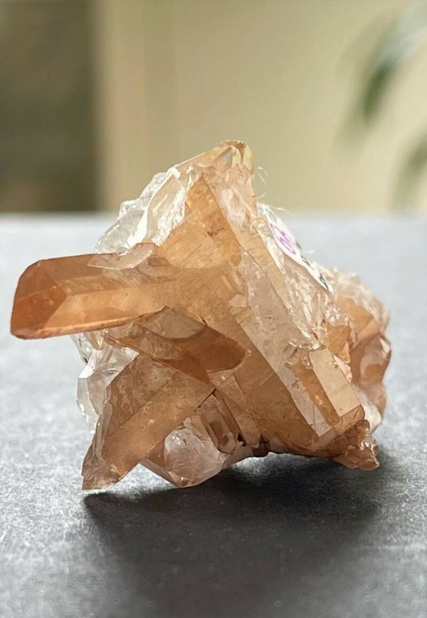 Lemurische Laserkristal met Molybdeniet cluster uit Peru