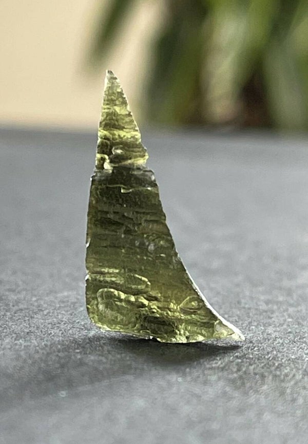 Moldaviet ruw, klein