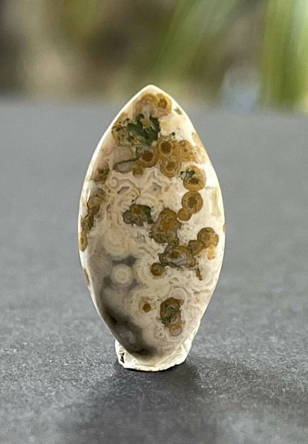 Oceaan Jaspis edelsteen cabochon marquise vorm, klein