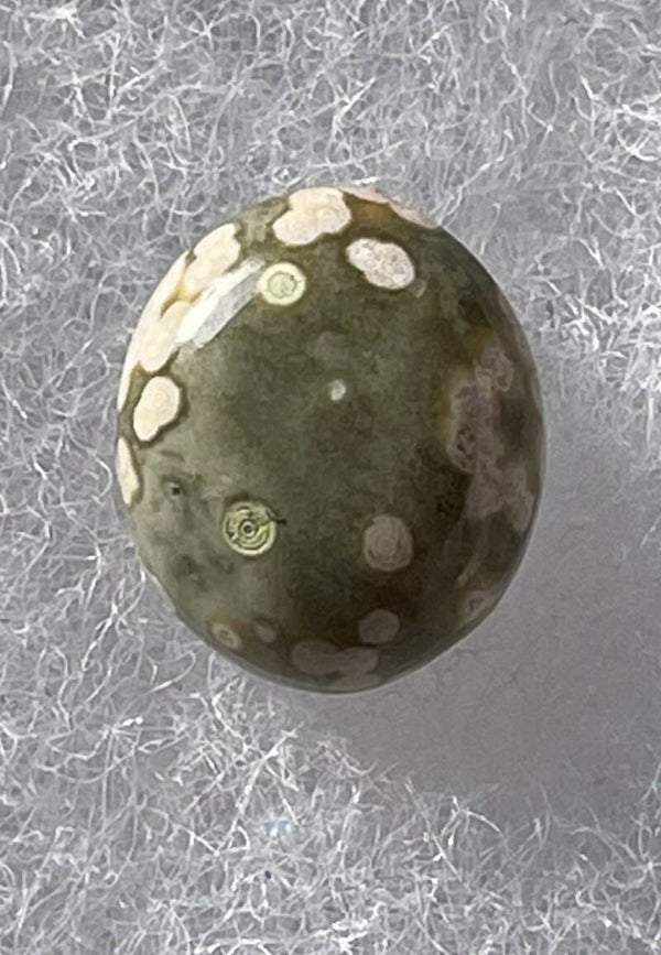 Oceaan Jaspis edelsteen cabochon ovaal, klein