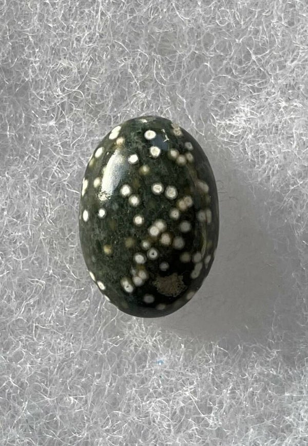 Oceaan Jaspis edelsteen cabochon ovaal, klein