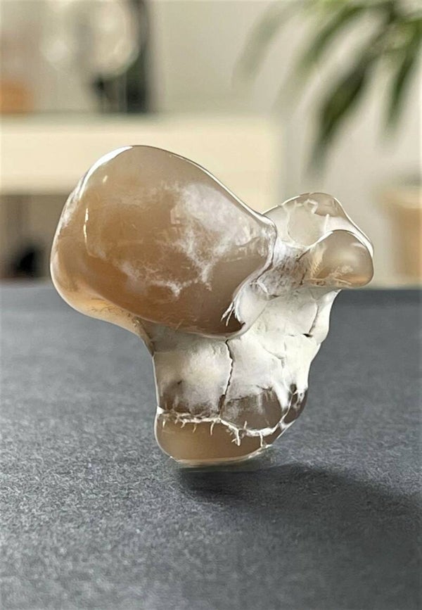 Slangenagaat getrommeld, klein