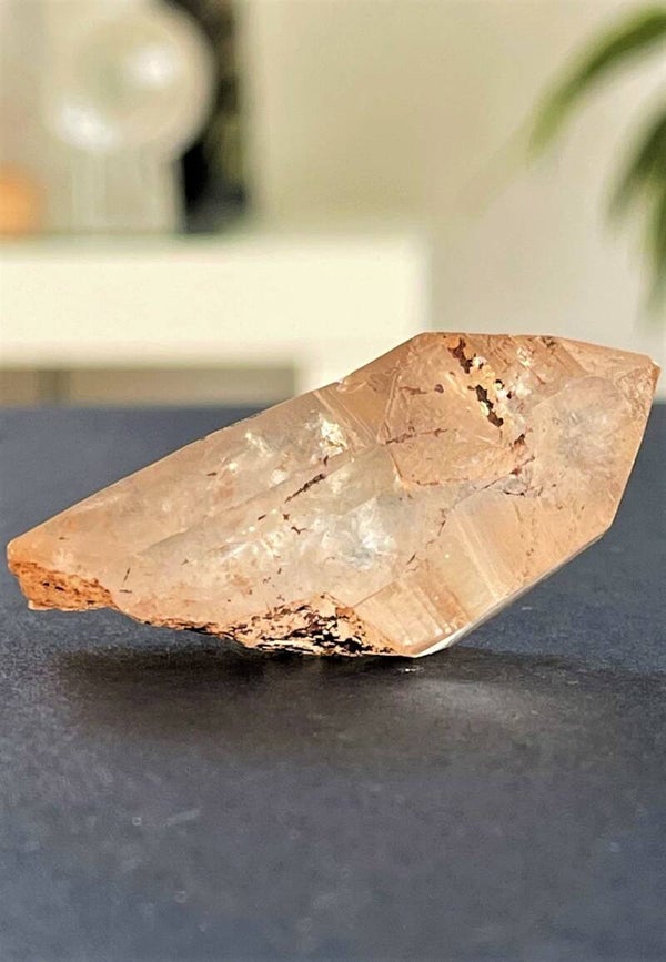 Lemurian Tangerinekwarts punt, klein