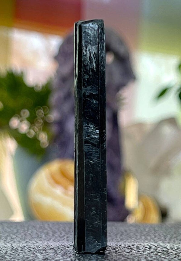 Aegirien ruw staafje, klein