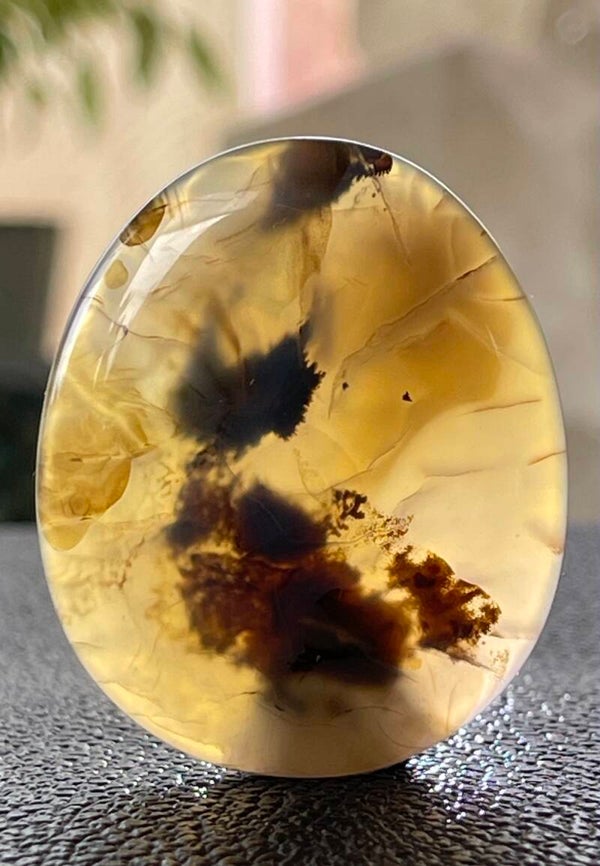 Dendriet Agaat knuffelsteen plat