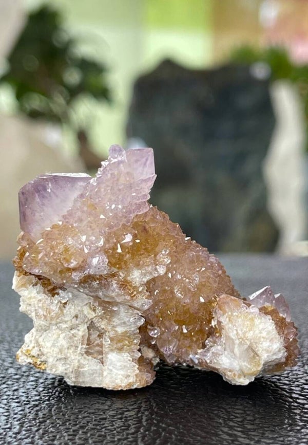 Amethist Spirit-Cactuskwarts met Hematiet uit Zuid-Afrika ruw, medium