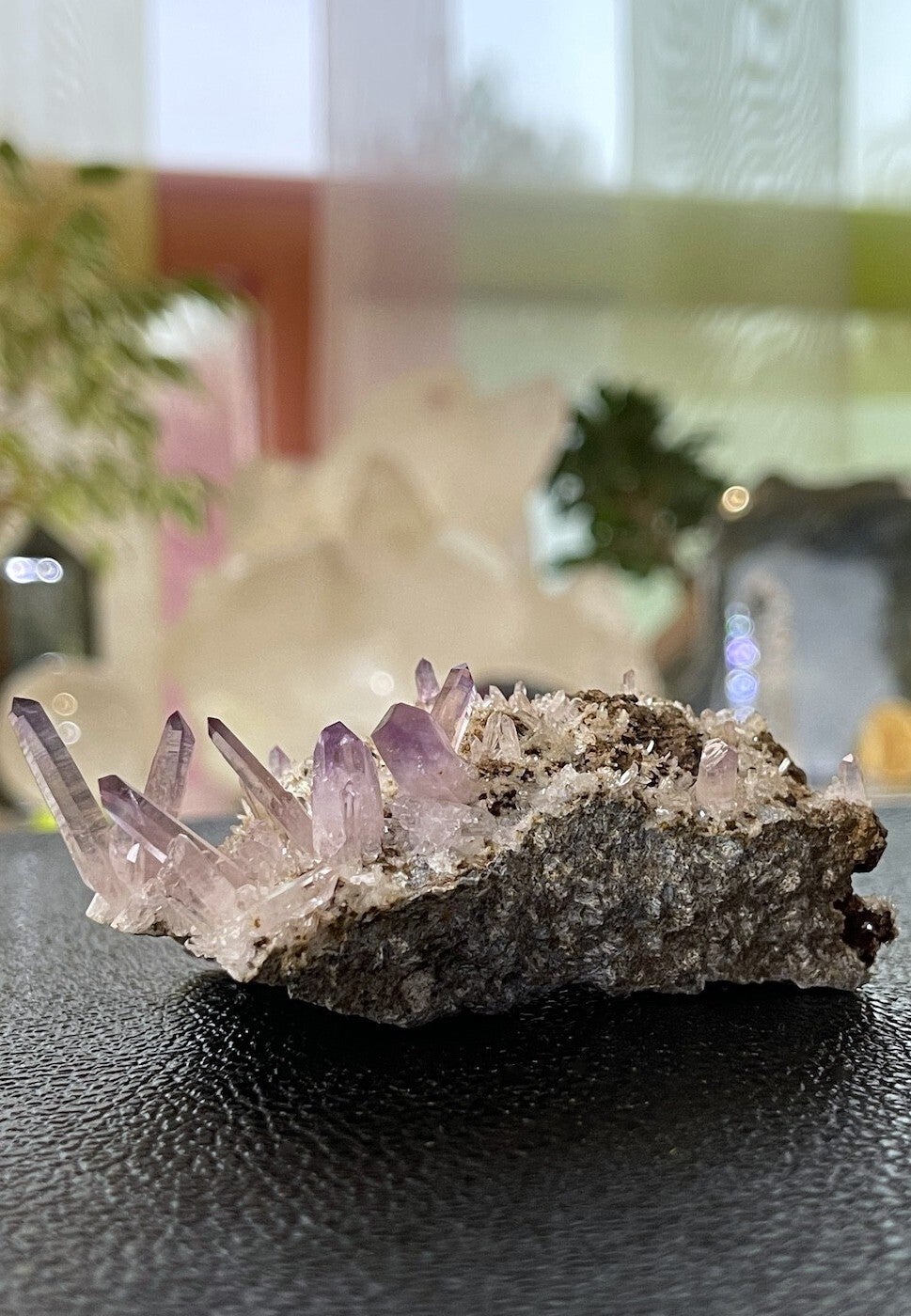 Amethist Vera Cruz cluster punten uit Mexico ruw, medium