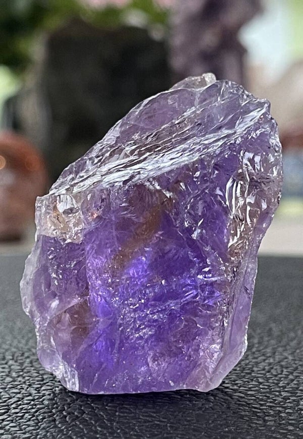 Ametrien ruw, klein-medium