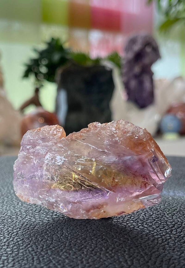 Ametrien ruw, klein-medium