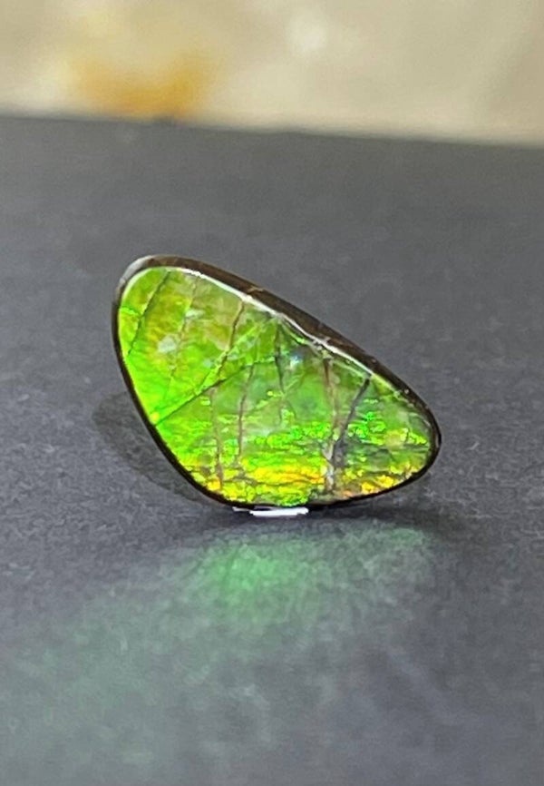 Ammoliet edelsteen cabochon free form, klein