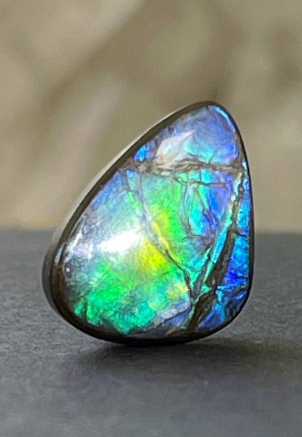 Ammoliet edelsteen cabochon free form, medium