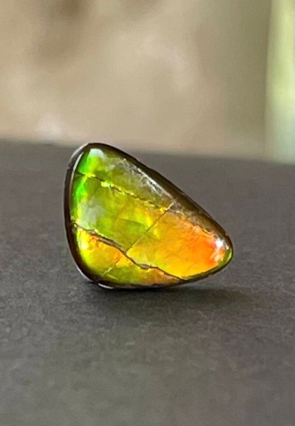 Ammoliet edelsteen cabochon free form, klein