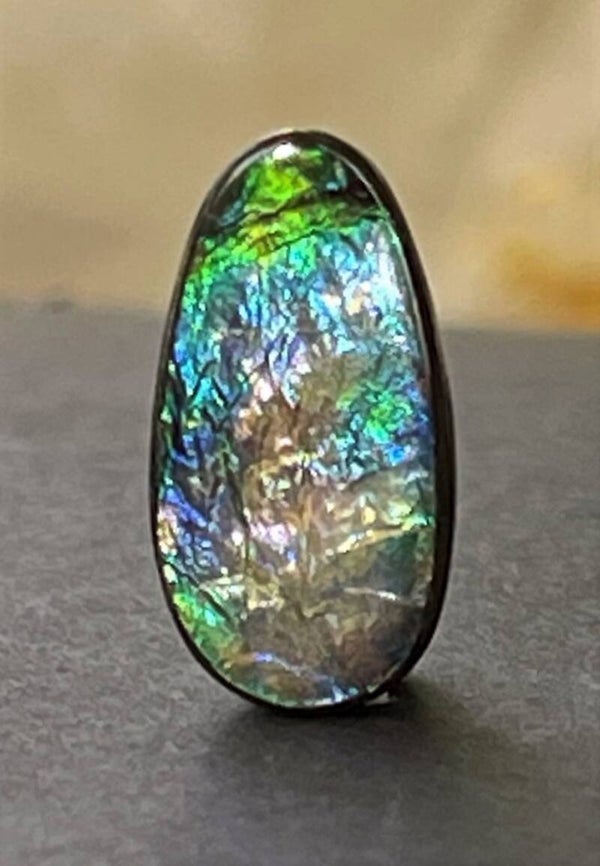 Ammoliet edelsteen cabochon free form, medium