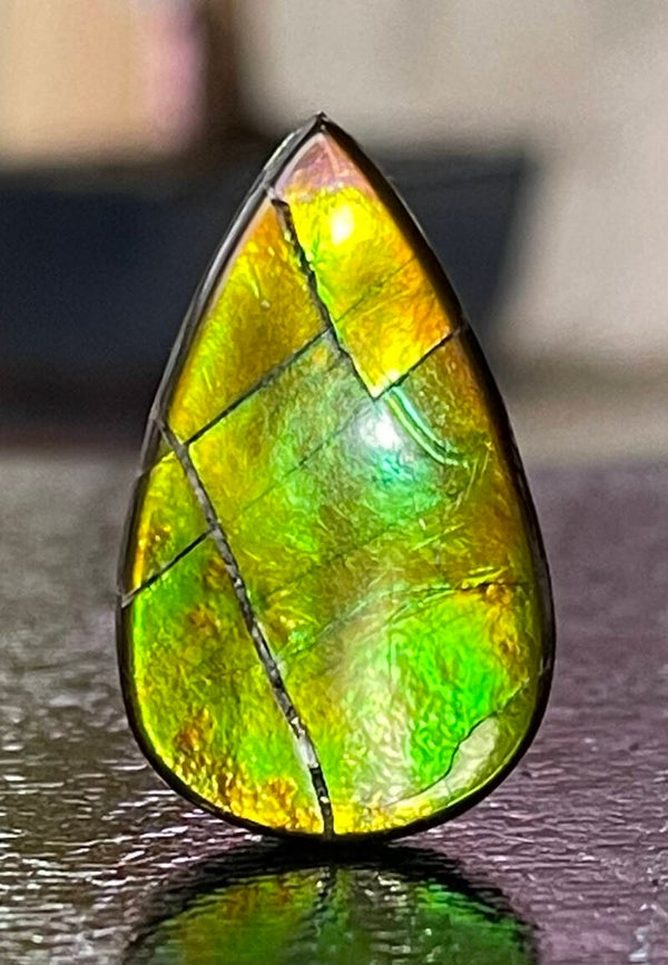 Ammoliet edelsteen cabochon druppel, medium