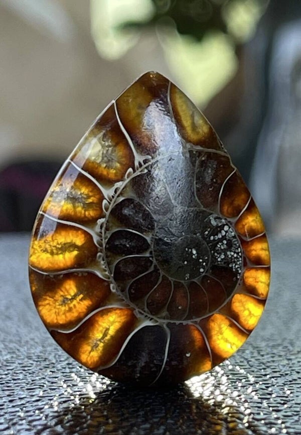 Ammoniet edelsteen cabochon druppel, medium