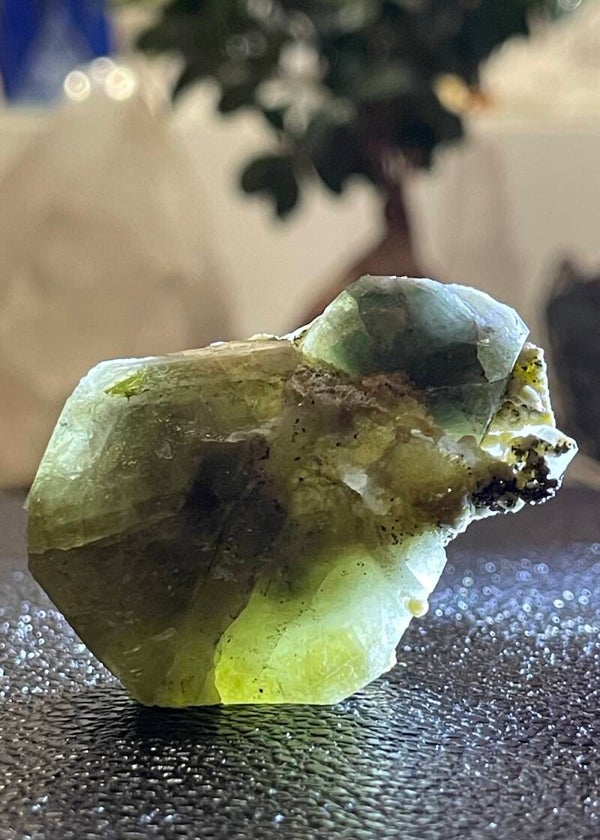 Groene Apatiet met Muscoviet uit Portugal ruw, klein-medium