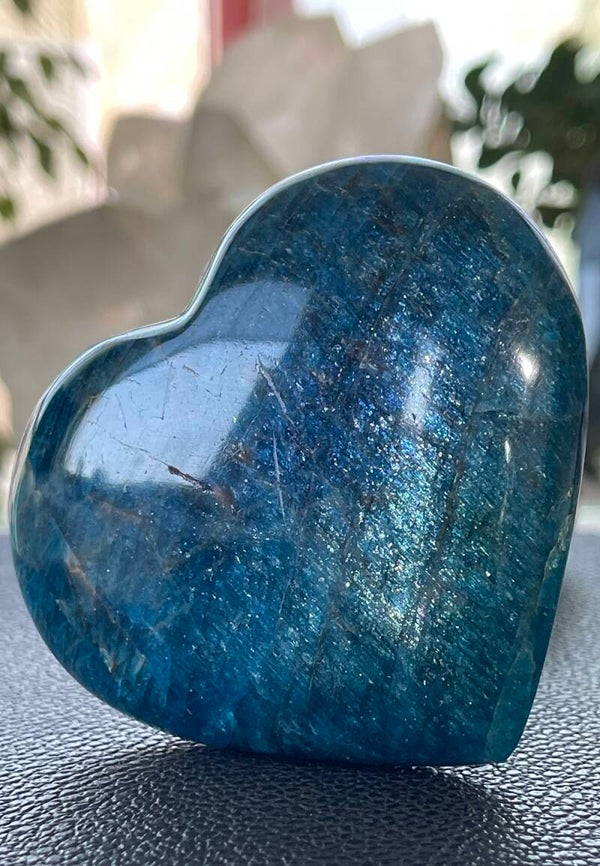 Apatiet hart blauw, medium-groot