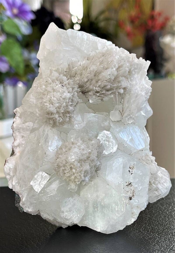 Apofylliet met Scoleciet uit India ruw, groot