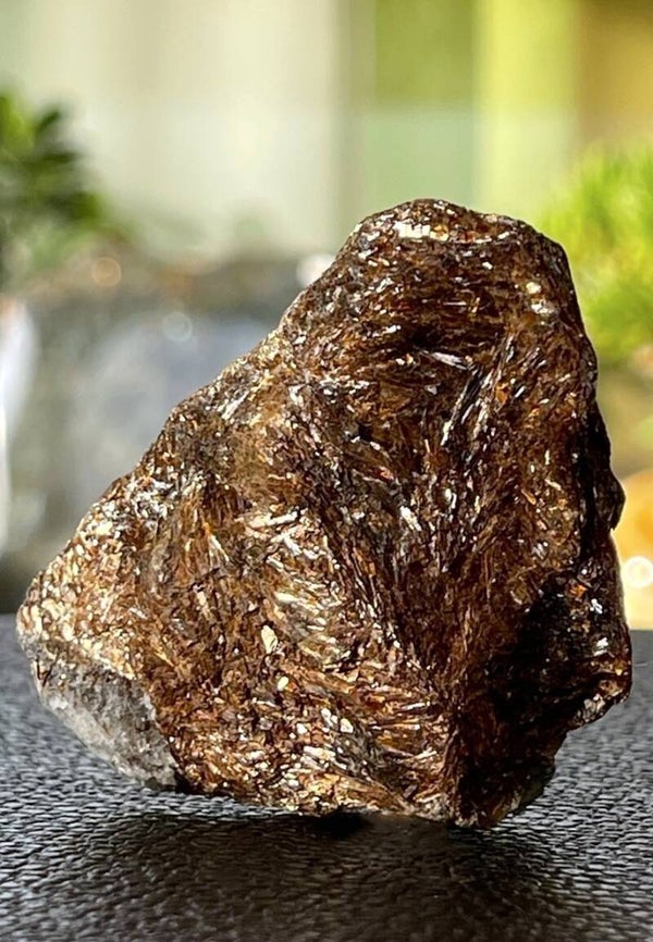 Astrofylliet uit Rusland ruw, medium