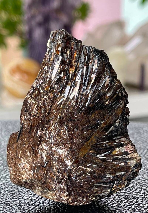 Astrofylliet uit Rusland ruw, medium