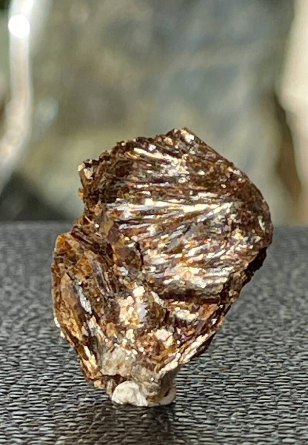 Astrofylliet uit Rusland ruw, klein