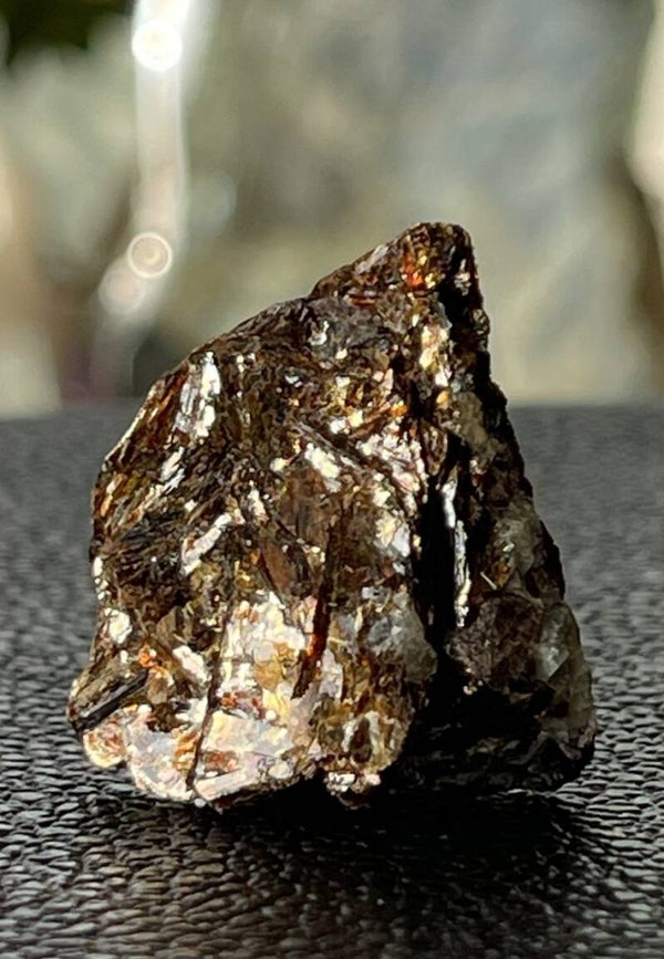 Astrofylliet uit Rusland ruw, klein