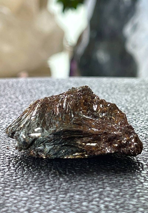 Astrofylliet uit Rusland ruw, klein-medium