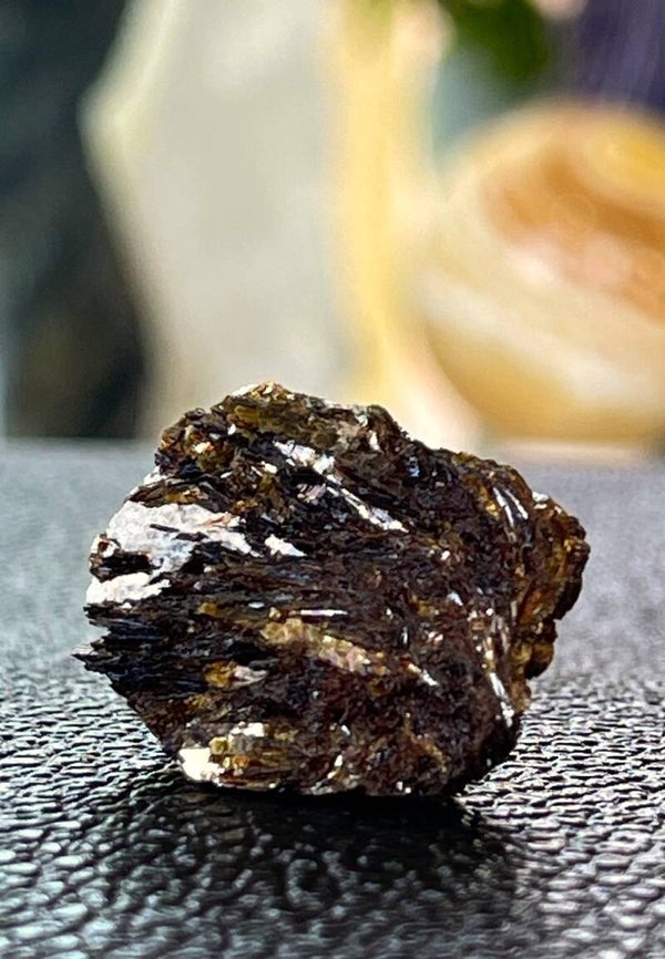 Astrofylliet uit Rusland ruw, klein