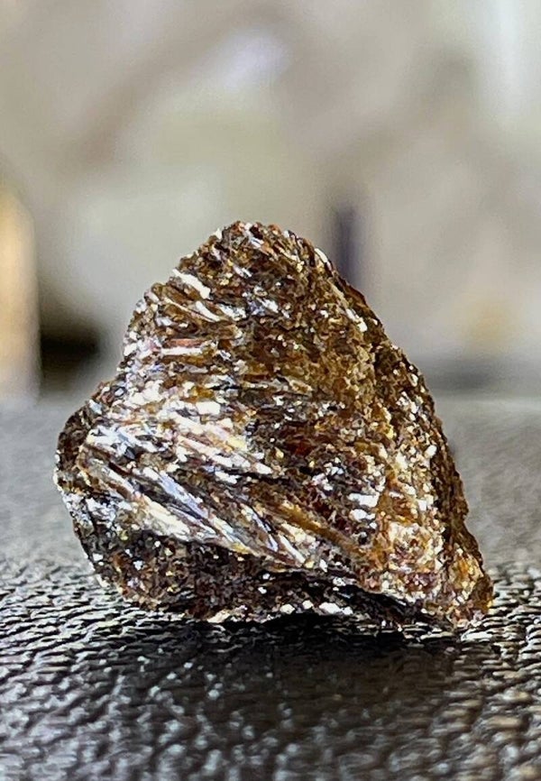 Astrofylliet uit Rusland ruw, klein