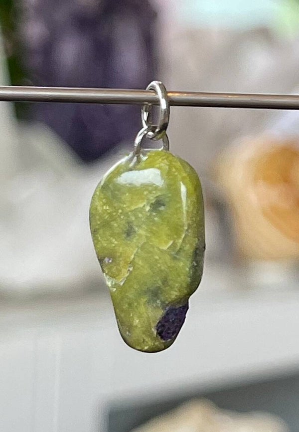 Atlantasiet hangertje met veter