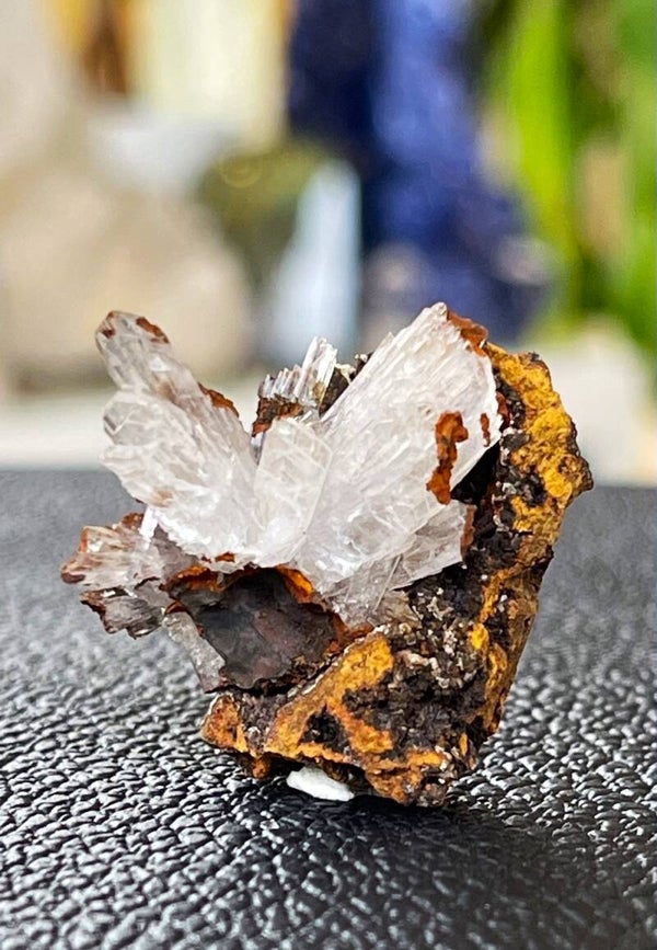 Bariet op matrix uit Marokko ruw, klein