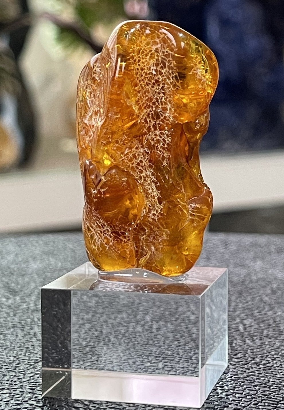 Baltic Barnsteen uit Litouwen, medium