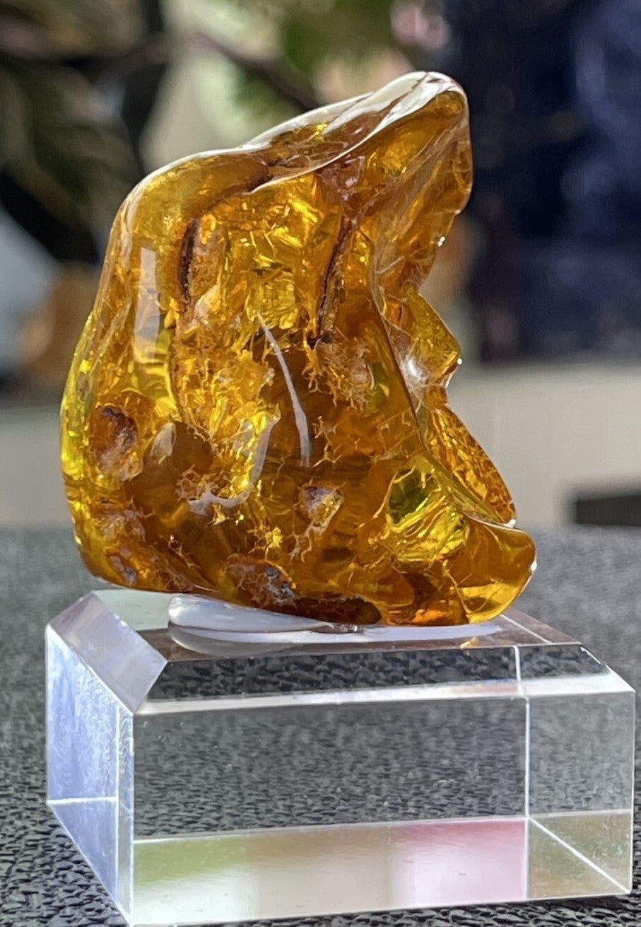 Baltic Barnsteen uit Litouwen, medium