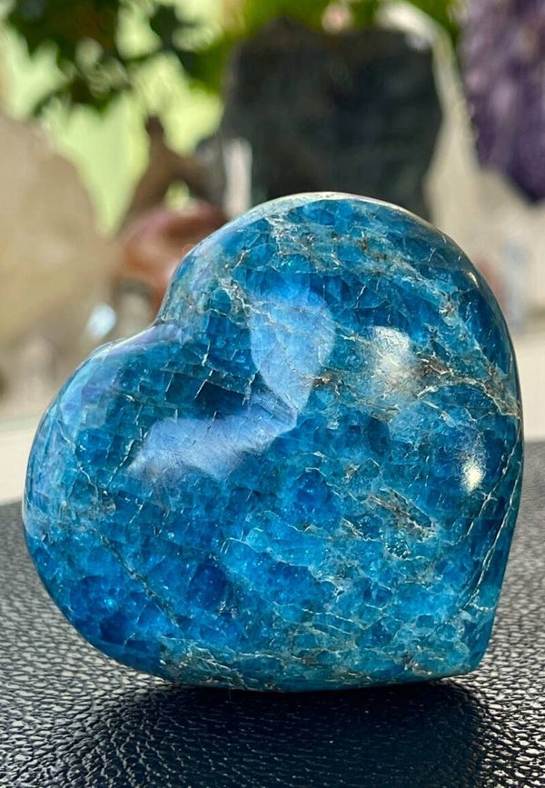 Apatiet hart blauw, medium