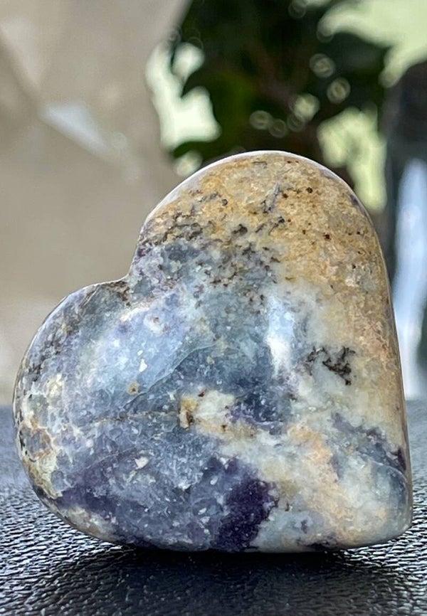 Bolivianiet hart, medium