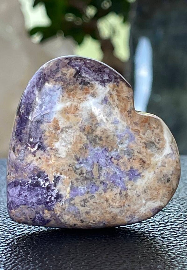 Bolivianiet hart, medium