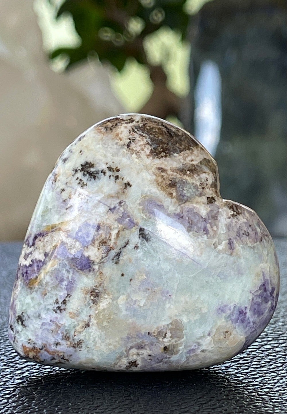 Bolivianiet hart, medium