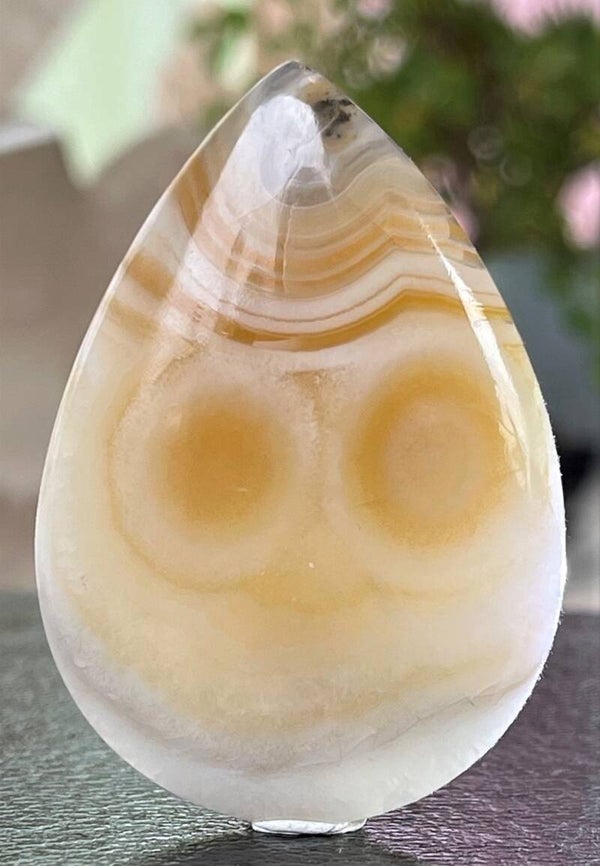 Botswana Agaat edelsteen cabochon druppel, groot