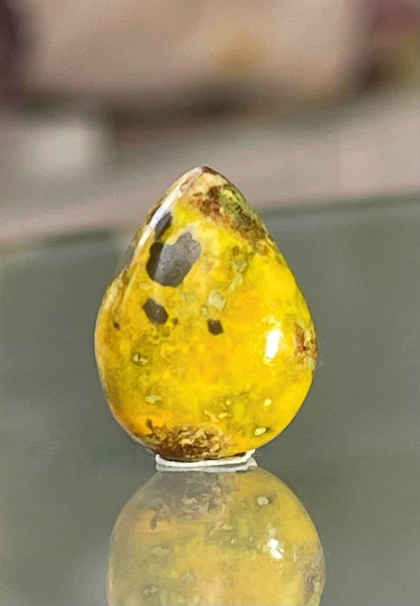 Bumble Bee Jaspis edelsteen cabochon druppel, klein